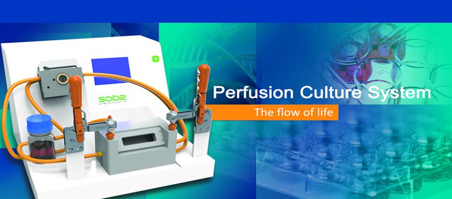 Perfusion Culture System